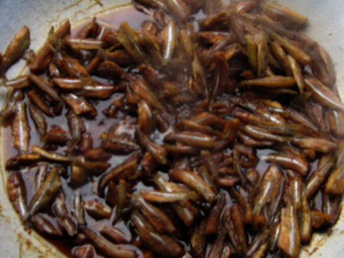 Hương vị quê hương: Cá lòng tong kho rim mộc mạc, đằm sâu