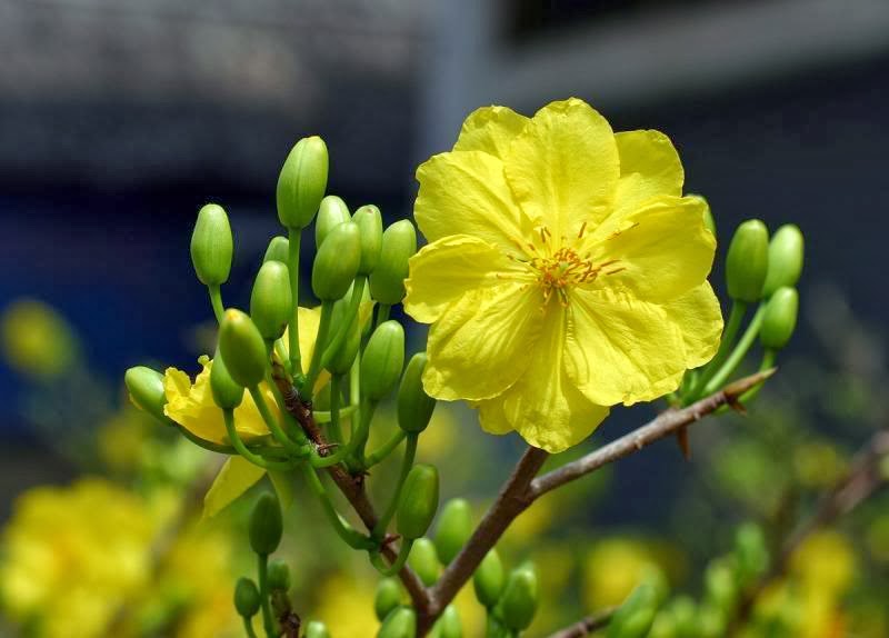 KHỞI ĐỘNG NÀO! HÃY CHO TRẺ ĐI CHÍCH VAC XIN NGỪA CÁC BỆNH TRONG THỜI ĐIỂM THỜI TIẾT CHUYỂN ĐÔNG XUÂN.